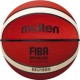 Molten Training Basket Bal BG2000 - Maat 5