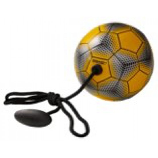 iCoach Mini Training Bal 3.0